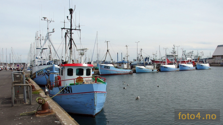 danske fiskebaater 2013