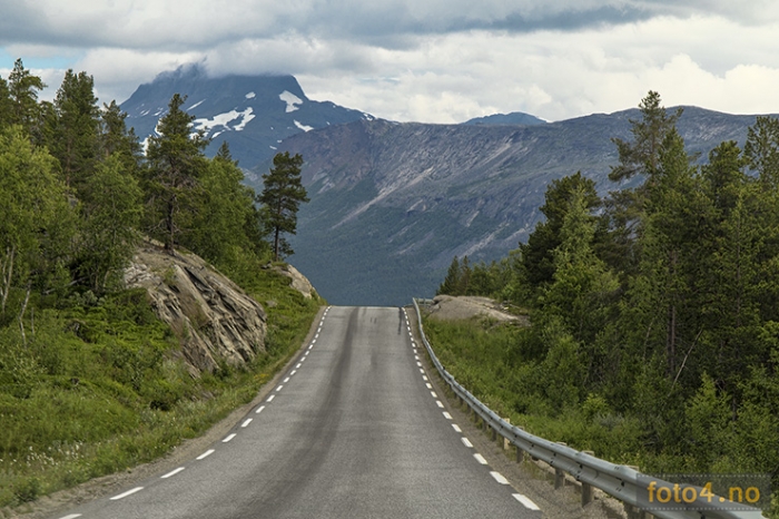 veien til fjells