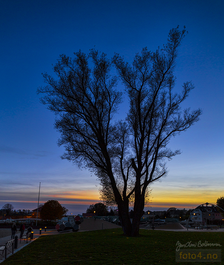 tre bystranda topaz web