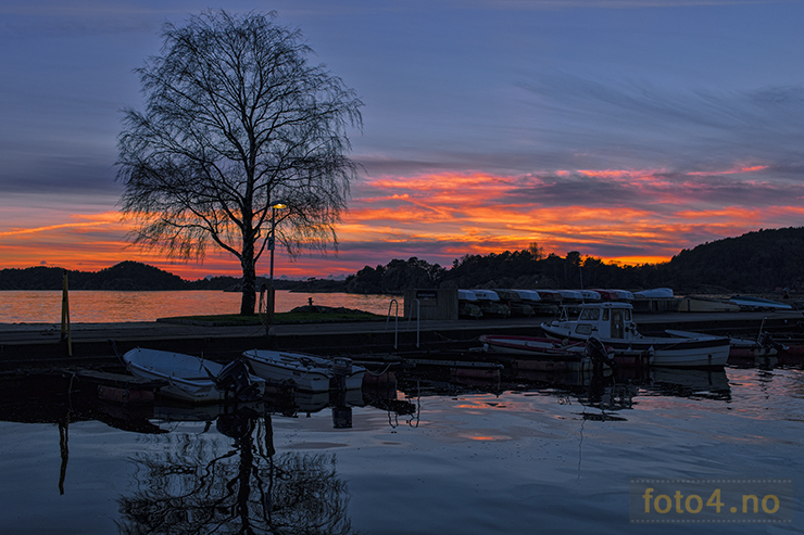 solnedgang hollen web